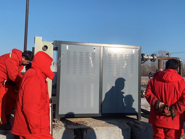 ����������ż����������������